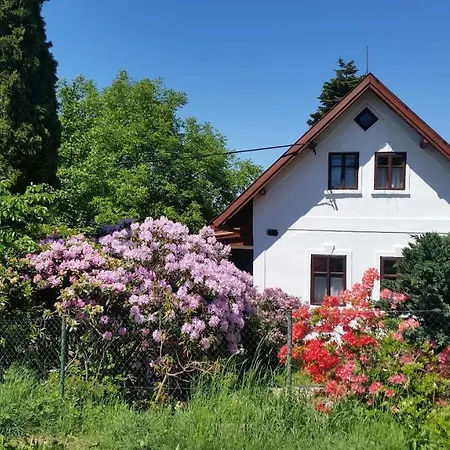 Zlaty Klic *