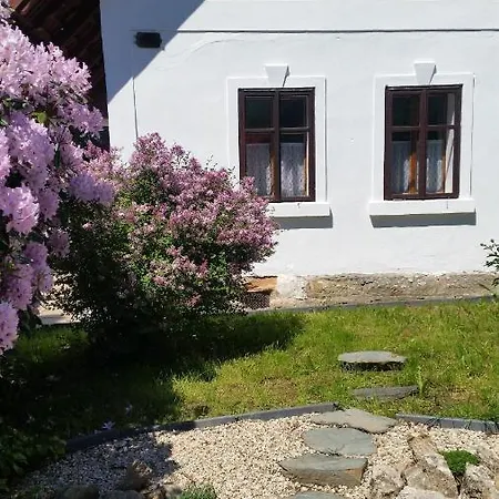 Zlaty Klic Koberovy